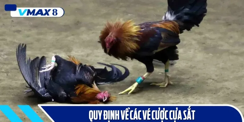 Cách cá cược đá gà trực tuyến đơn giản, dễ hiểu cho Newbie