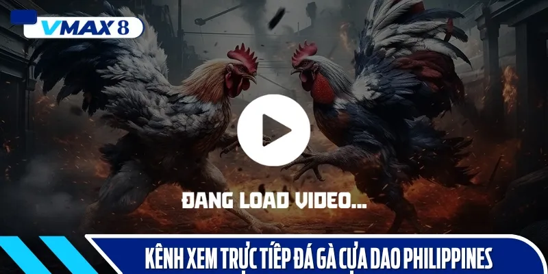kênh trực tiếp đá gà cựa dao philippines