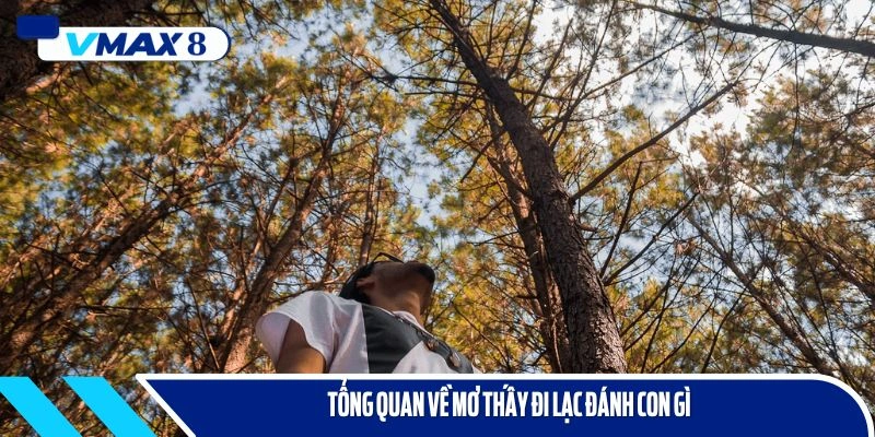 Tổng quan về giấc chiêm bao đi lạc