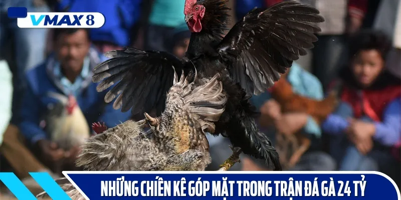 trực tiếp đá gà 24 tỷ chiến kê