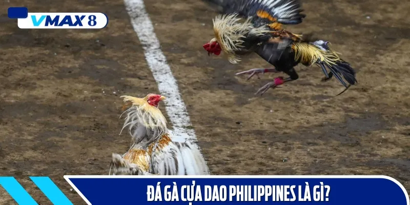 Trực tiếp đá gà cựa dao philippines là gì
